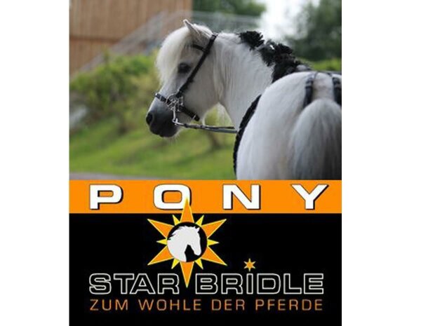 pony farben